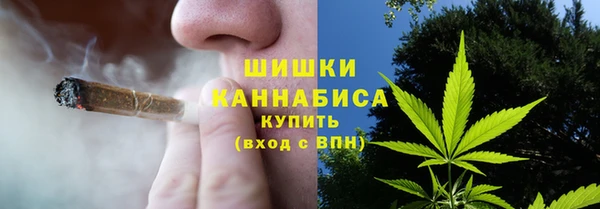 mdpv Богородск