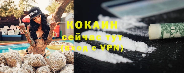 mdpv Богородск