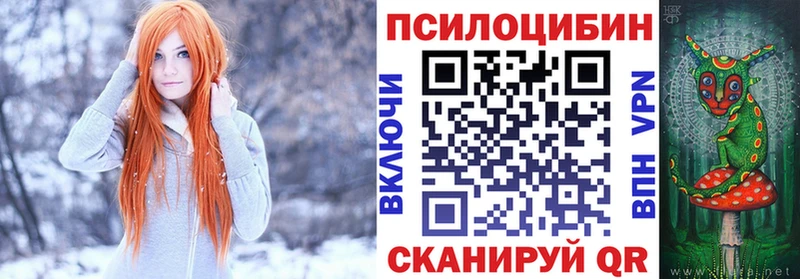 Псилоцибиновые грибы MAGIC MUSHROOMS  Купить где  Горно-Алтайск 